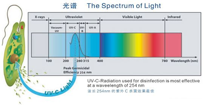 科普！紫外線殺菌燈對(duì)人體影響及正確使用方法