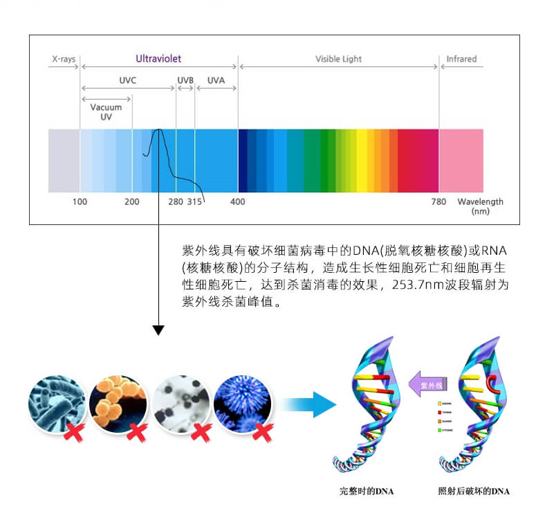 單端四針紫外線(xiàn)殺菌燈_08.jpg